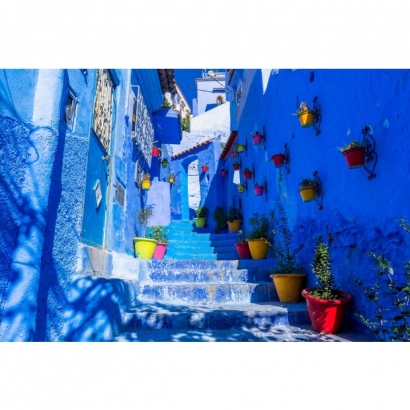 IMG_1356.jpeg IMG_1356.jpeg