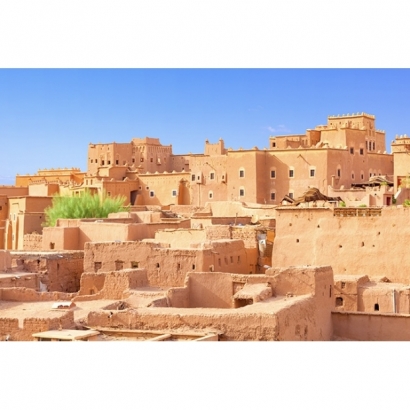 IMG_1353.jpeg IMG_1353.jpeg