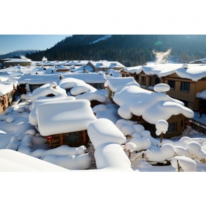 IMG_1903.jpeg IMG_1903.jpeg