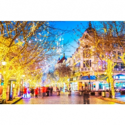 IMG_1900.jpeg IMG_1900.jpeg