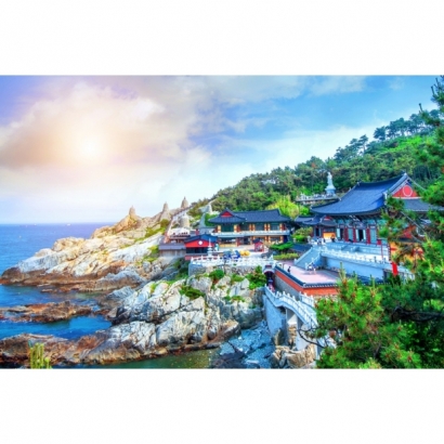 IMG_1949.jpeg IMG_1949.jpeg