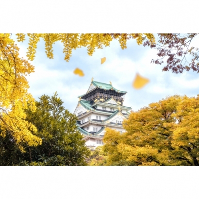 IMG_2260.jpeg IMG_2260.jpeg