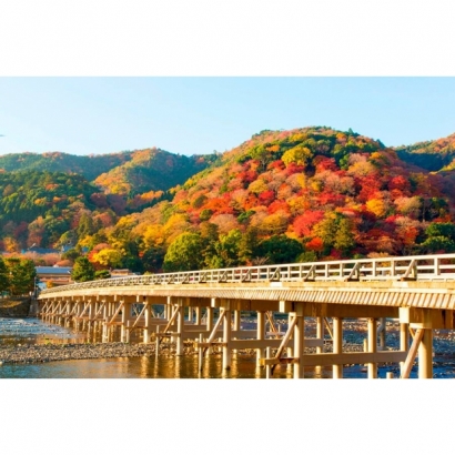 IMG_2253.jpeg IMG_2253.jpeg