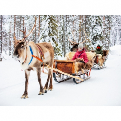 IMG_2297.jpeg IMG_2297.jpeg