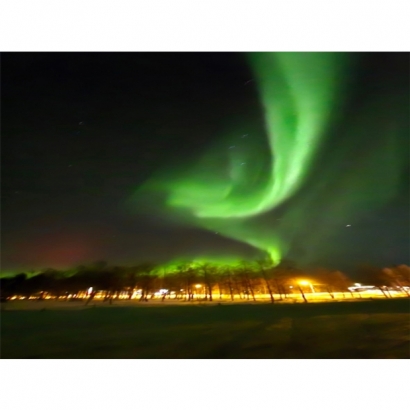 IMG_2299.jpeg IMG_2299.jpeg