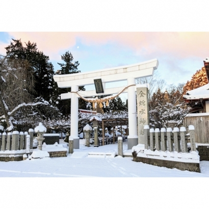 IMG_1037.jpeg IMG_1037.jpeg