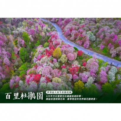 IMG_2762.jpeg IMG_2762.jpeg