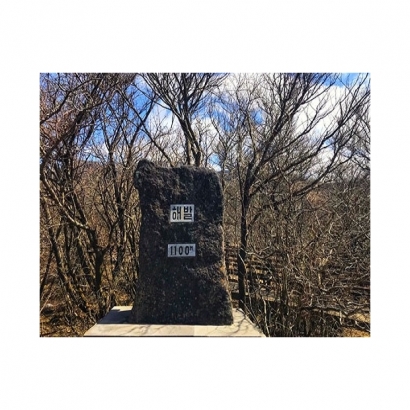 IMG_2824.jpeg IMG_2824.jpeg