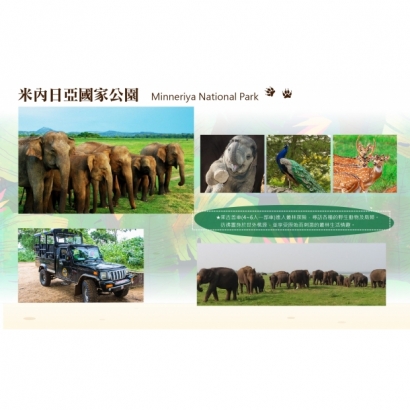 IMG_2880.jpeg IMG_2880.jpeg