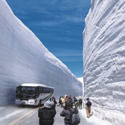 IMG_2979.jpeg IMG_2979.jpeg