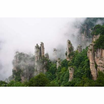 IMG_1886.jpeg IMG_1886.jpeg