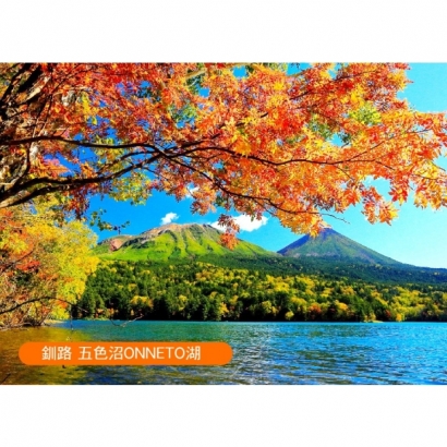 messageImage_1778740615145.jpg